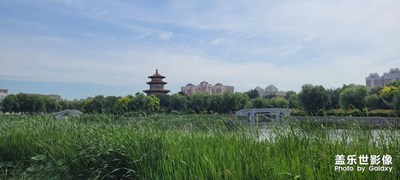 【我的夏天】+公園隨拍