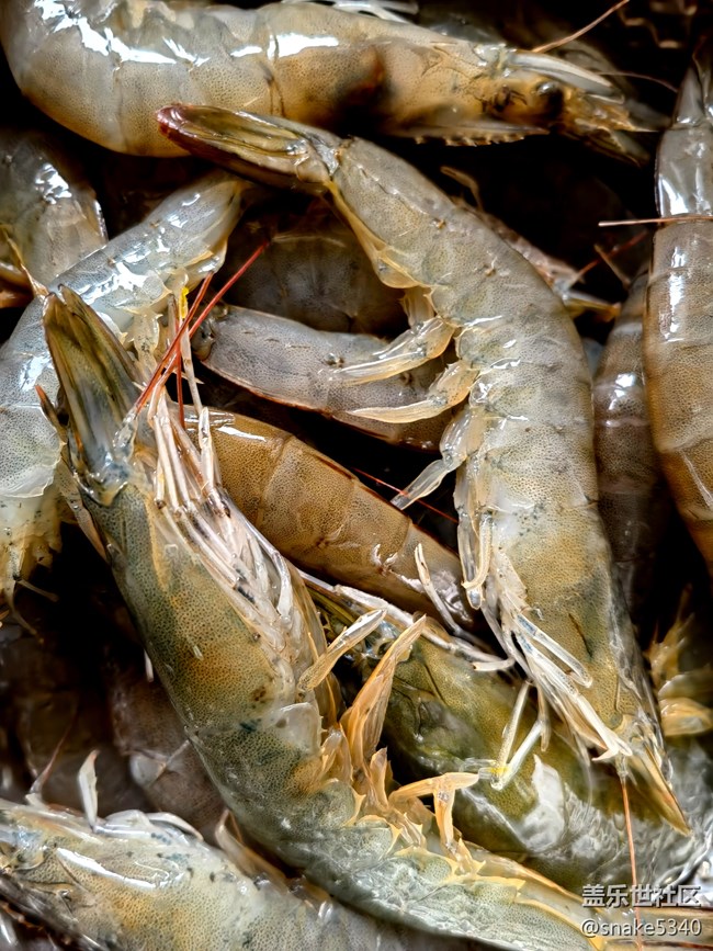 【年中小結(jié)】+虎虎生威