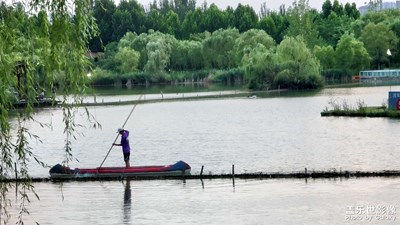 隨手一拍