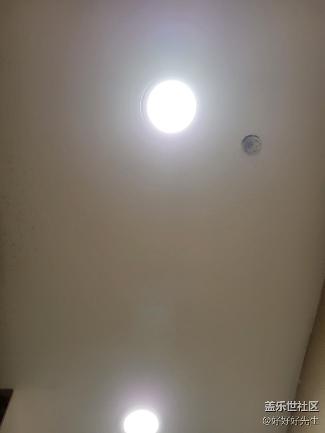 【霓虹燈下】光下的葉子