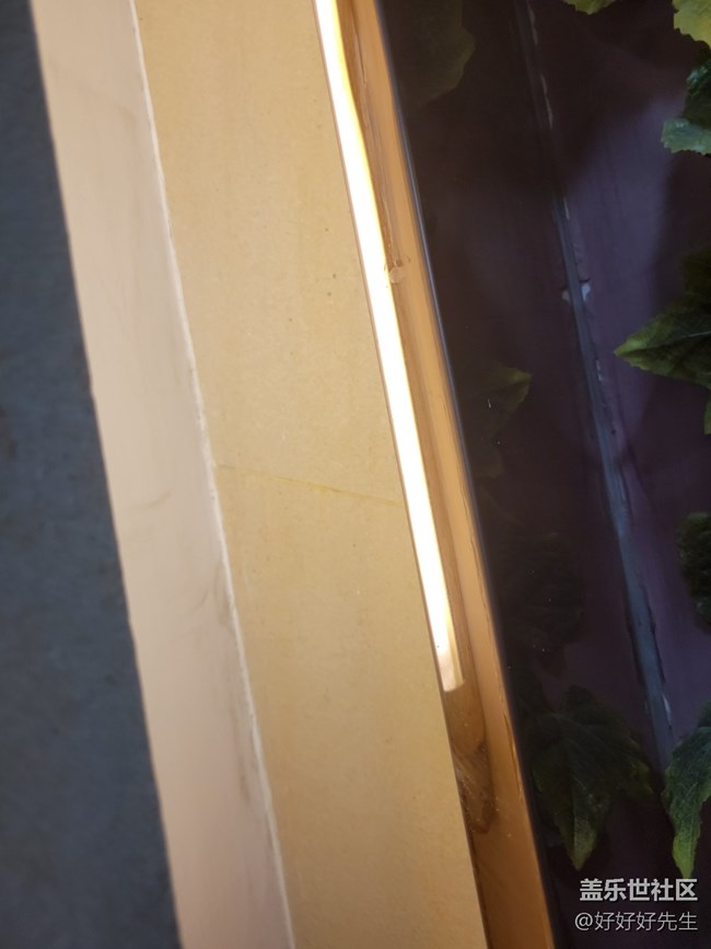 【霓虹燈下】光下的葉子