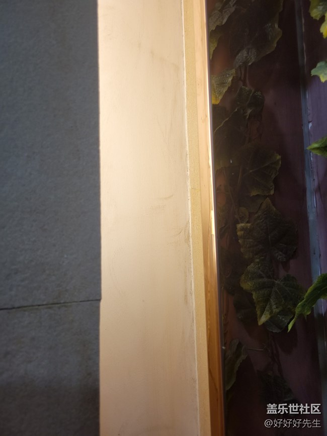 【霓虹燈下】光下的葉子