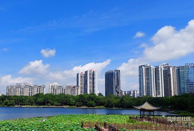 [走過的風景]——漫步南湖