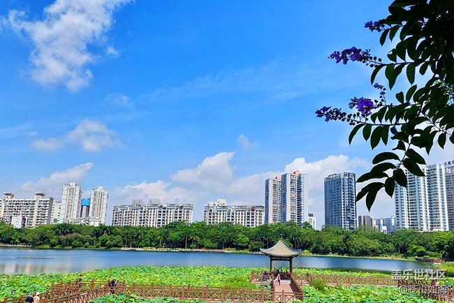 [走過的風景]——漫步南湖