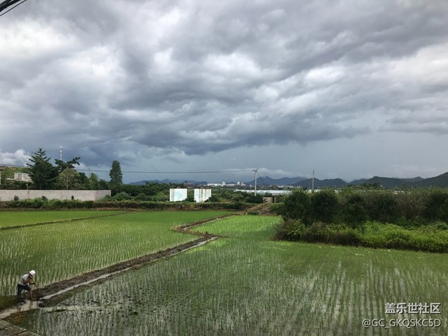 【靈動(dòng)一夏】開心盛夏