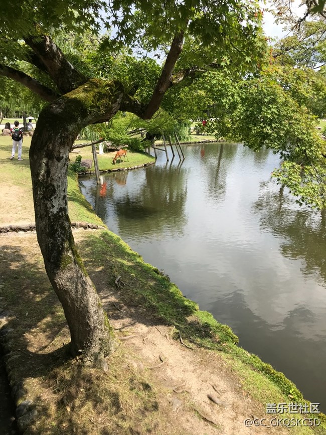 【靈動(dòng)一夏】開心盛夏