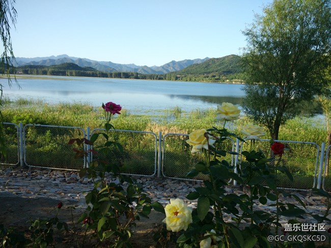 【靈動(dòng)一夏】開心盛夏