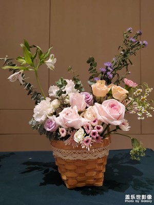 今日大薯