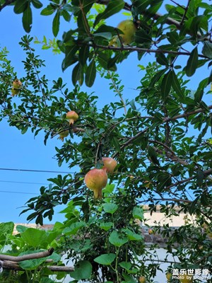 周末時(shí)光
