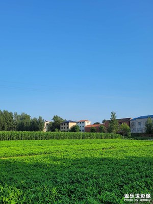 【夏日好時(shí)光】一起去乘涼