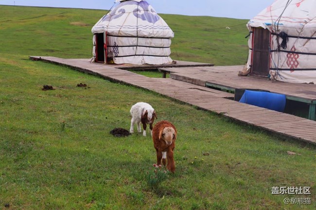 【青蔥歲月】說走就走的旅行