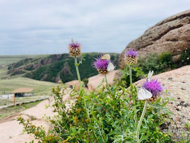 【靈動一夏】出去逛逛