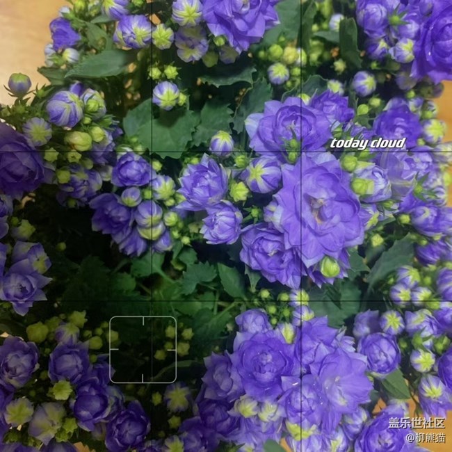 【年中小結(jié)】手機(jī)相冊(cè)里的圖片