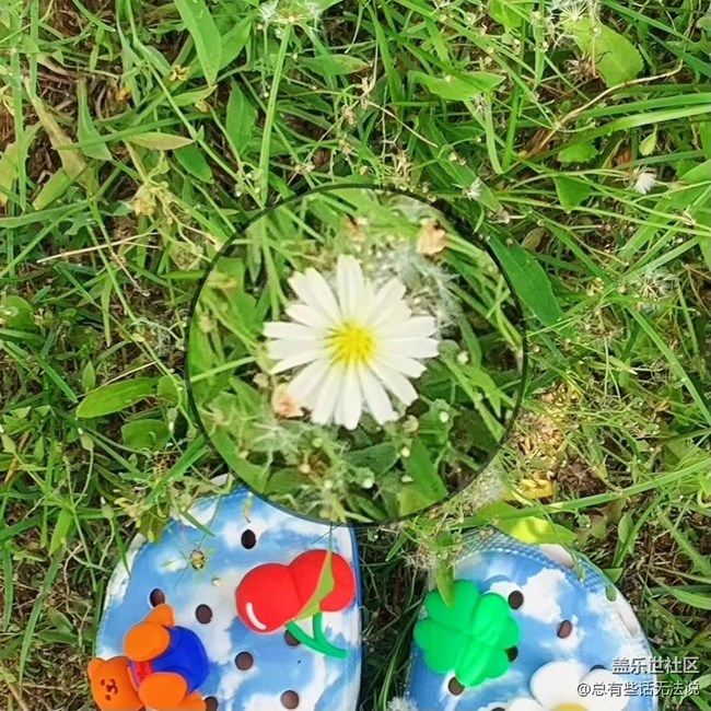 【靈動(dòng)一夏】夏天的城堡