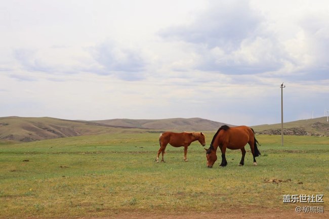 【青蔥歲月】說走就走的旅行