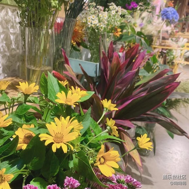 【青蔥歲月】花花草草的青青蔥蔥