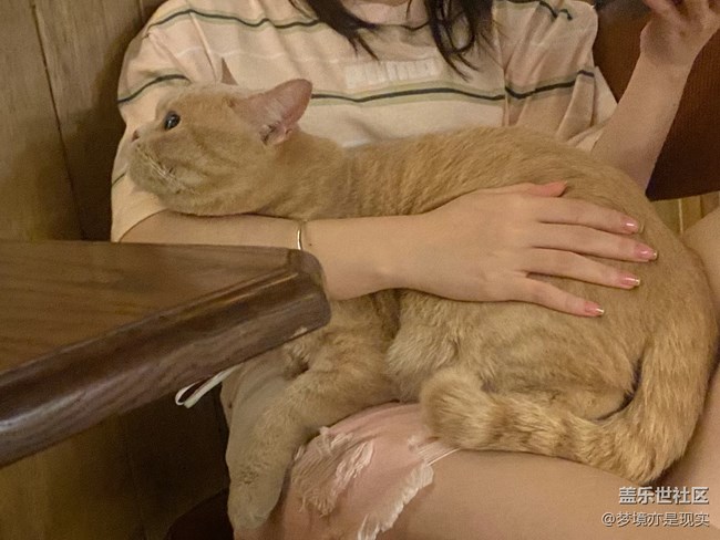 【年中小結(jié)】家里的新成員