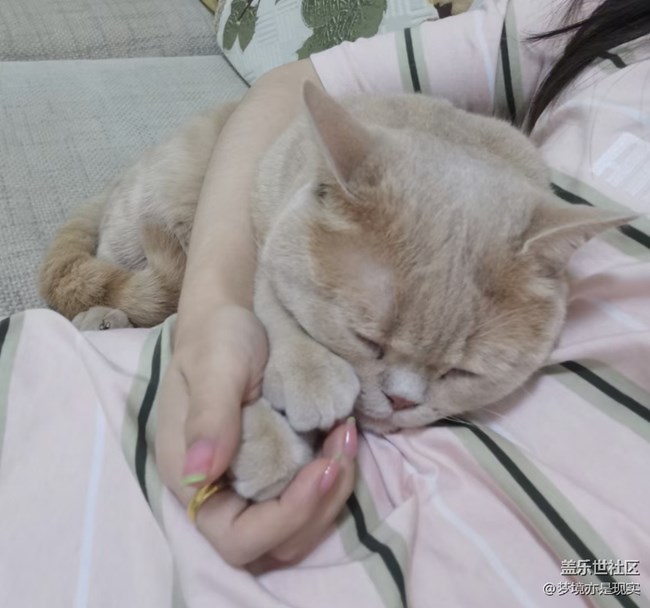 【年中小結(jié)】家里的新成員