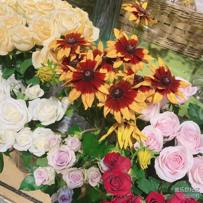 【青蔥歲月】花花草草的青青蔥蔥