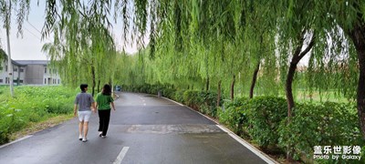 雨后的公園