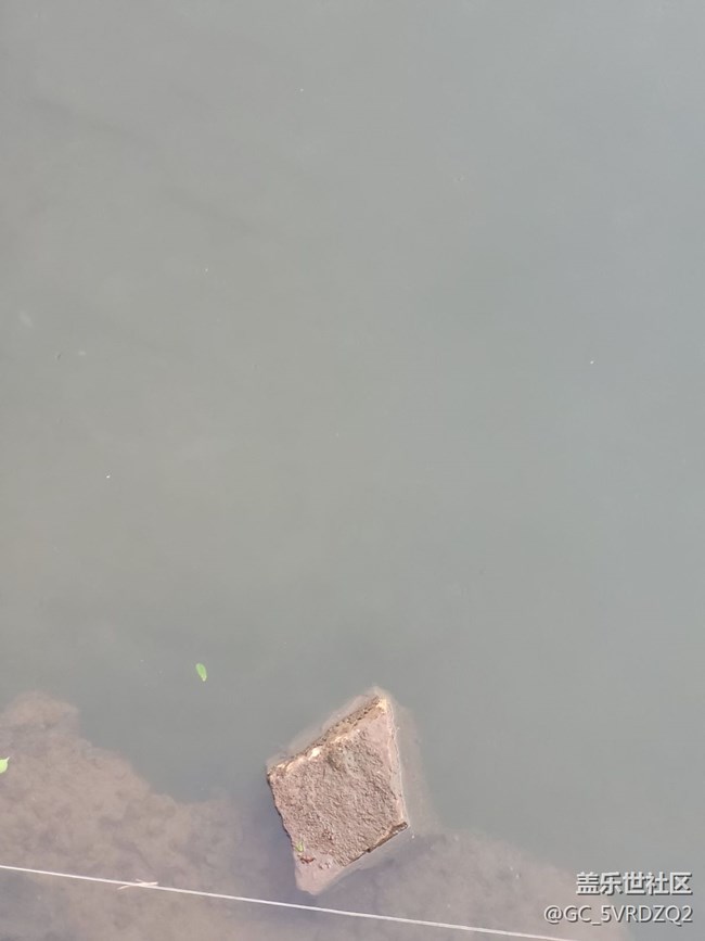 【靈動一夏】下雨