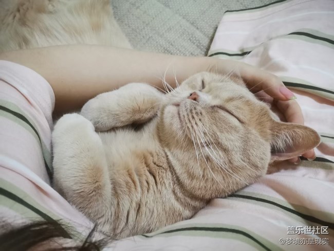 【年中小結(jié)】家里的新成員