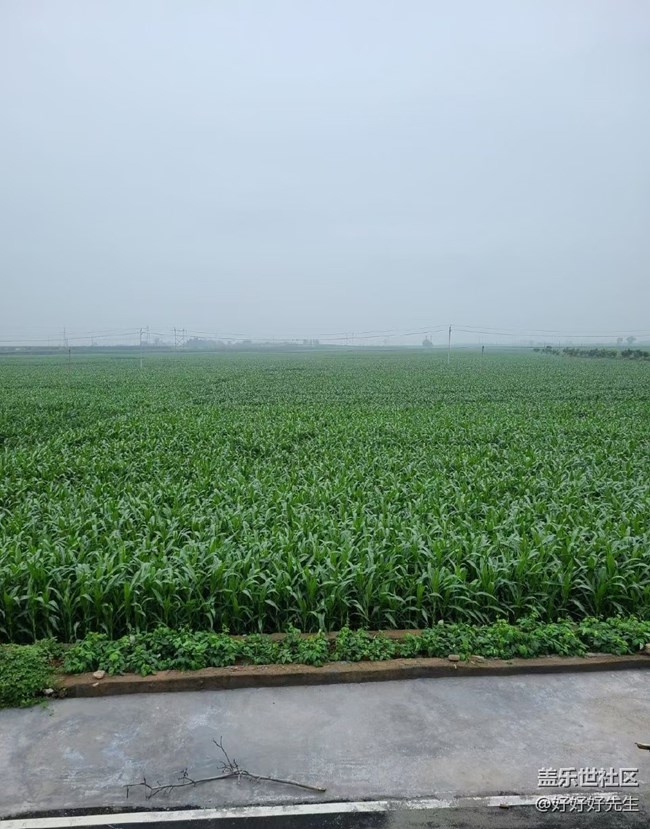 【年中小結(jié)】小收獲