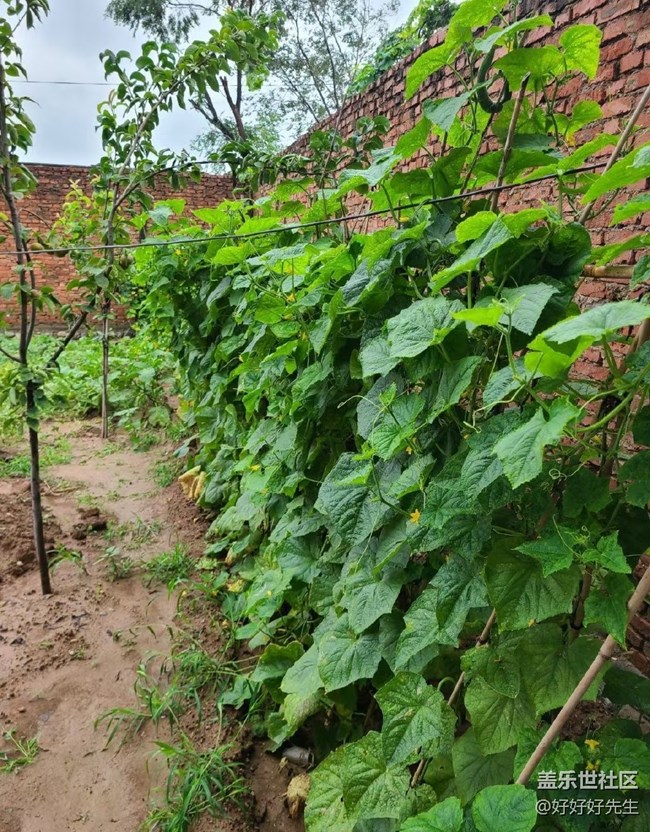 【年中小結(jié)】小收獲