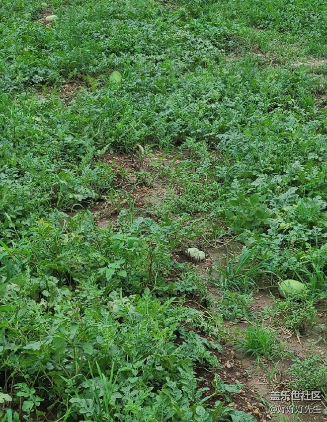 【年中小結(jié)】小收獲