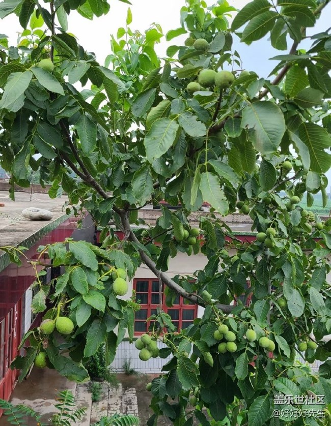 【年中小結(jié)】小收獲