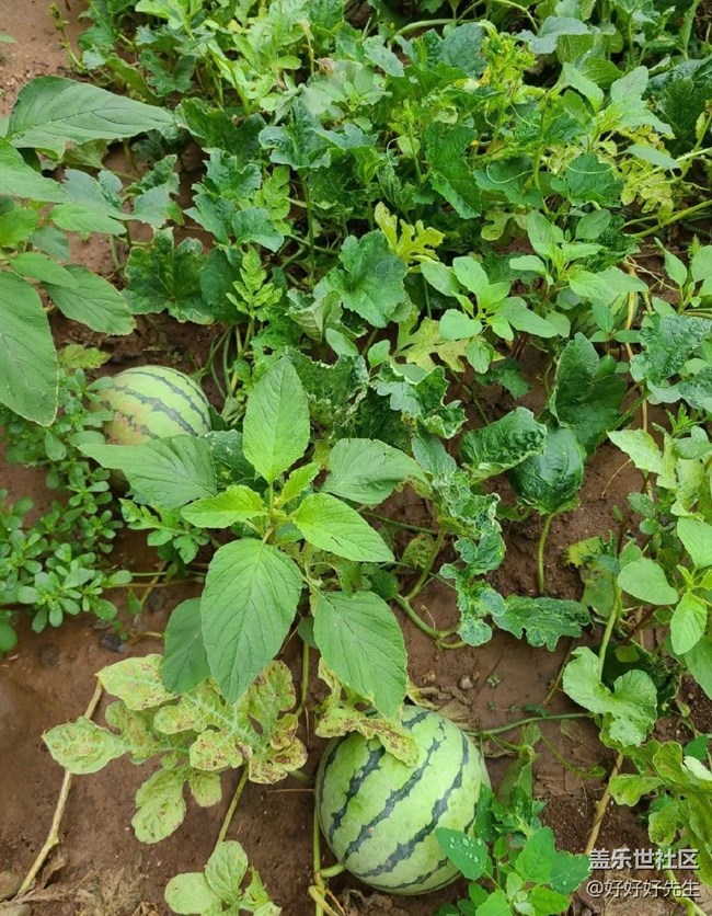 【年中小結(jié)】小收獲