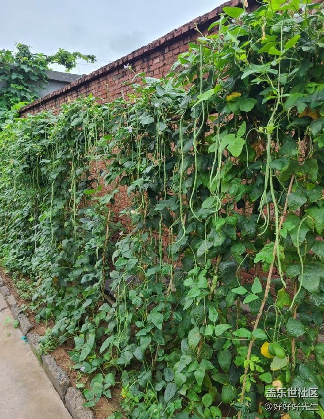 【年中小結(jié)】小收獲