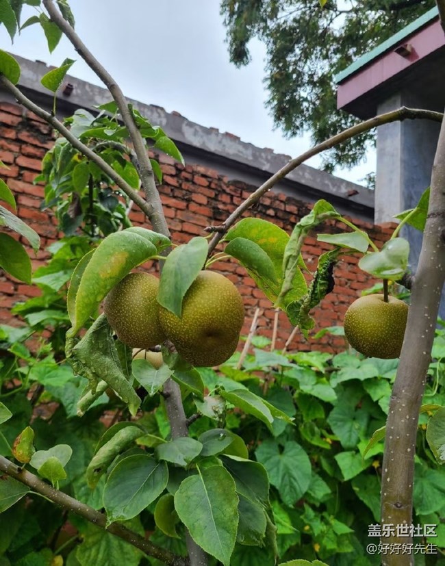 【年中小結(jié)】小收獲