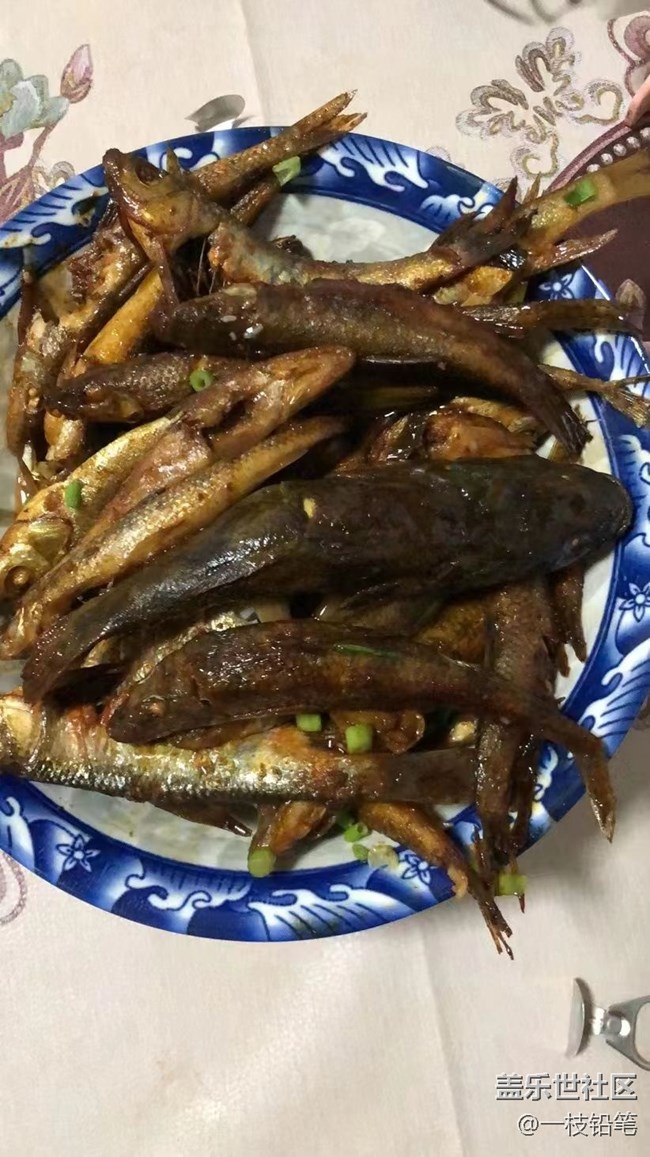 【青蔥歲月】自己做菜