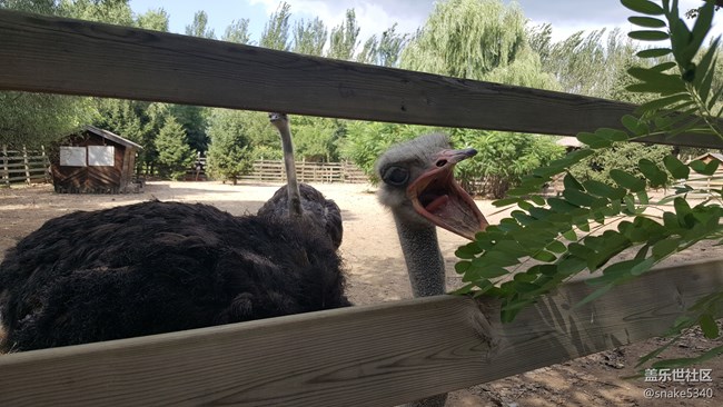 【青蔥歲月】+鳥的島嶼