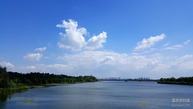 【青蔥歲月】+鳥的島嶼