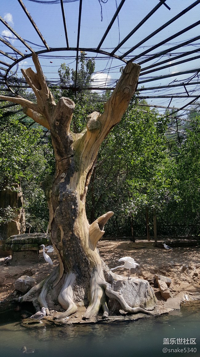 【青蔥歲月】+鳥的島嶼