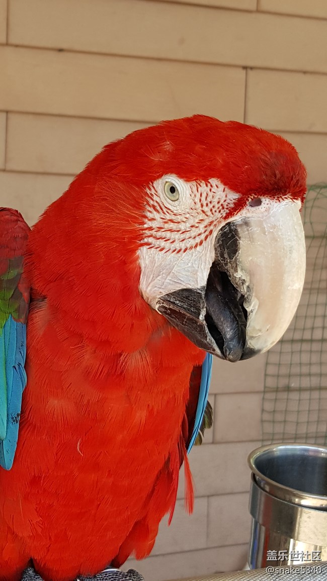 【青蔥歲月】+鳥的島嶼