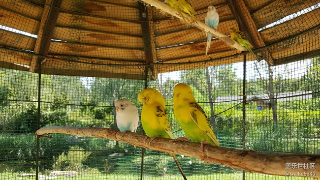 【青蔥歲月】+鳥的島嶼