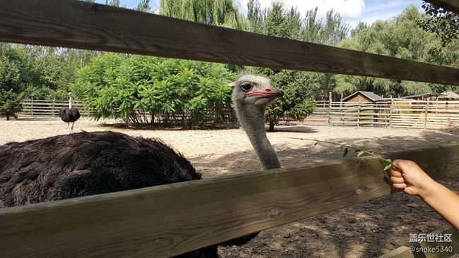 【青蔥歲月】+鳥的島嶼