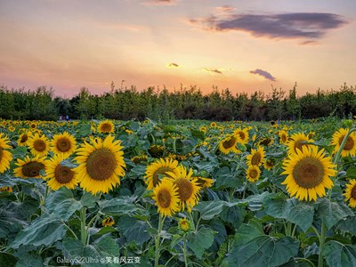 已開獎【蓋樂世影像周賽第252期】—— 天光云影