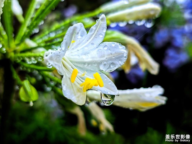 《每周星鮮事》 第113期:三星Galaxy新品 即將來襲 《每周星鮮事》 第113期:三星Galaxy新品 即將來襲