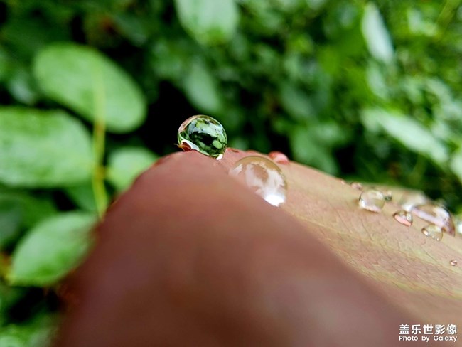 《每周星鮮事》 第113期:三星Galaxy新品 即將來襲 《每周星鮮事》 第113期:三星Galaxy新品 即將來襲