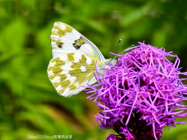 《每周星鮮事》 第113期:三星Galaxy新品來襲 《每周星鮮事》 第113期:三星Galaxy新品來襲