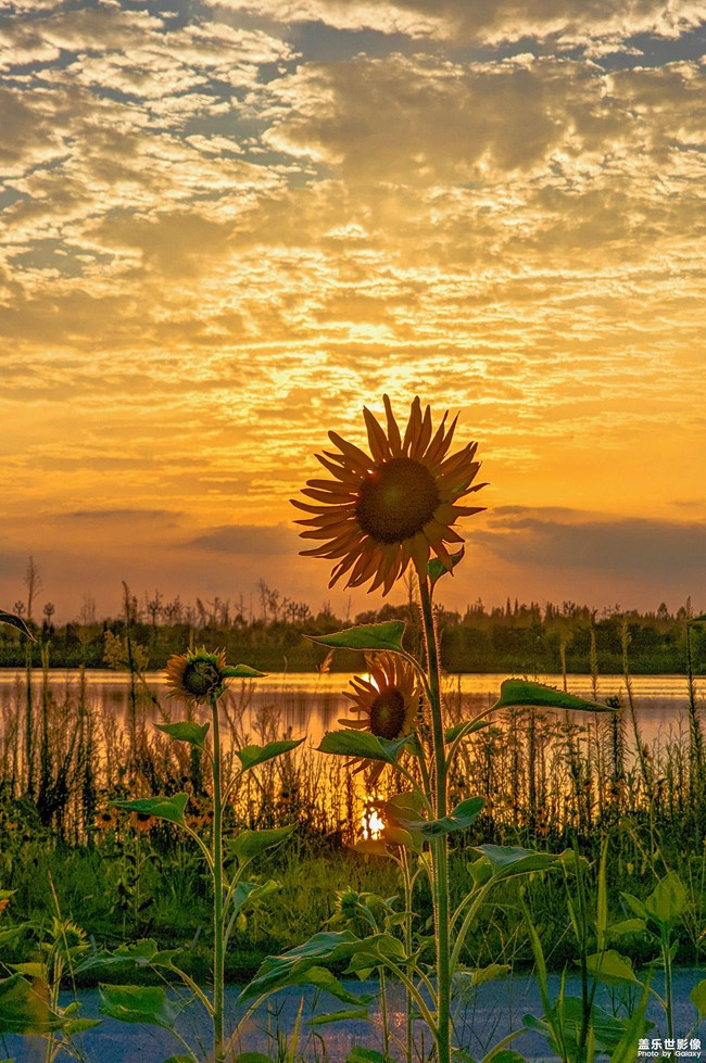 《每周星鮮事》 第113期:三星Galaxy新品來襲 《每周星鮮事》 第113期:三星Galaxy新品來襲