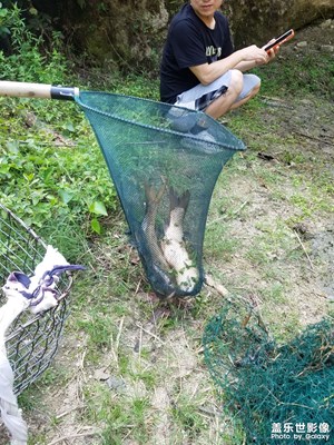 【半夏時光】 山野小塘