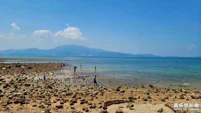 深圳楊梅坑