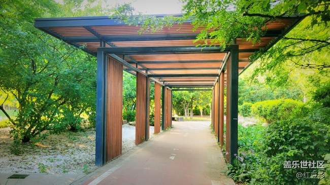 【空間藝術(shù)】公園的小景