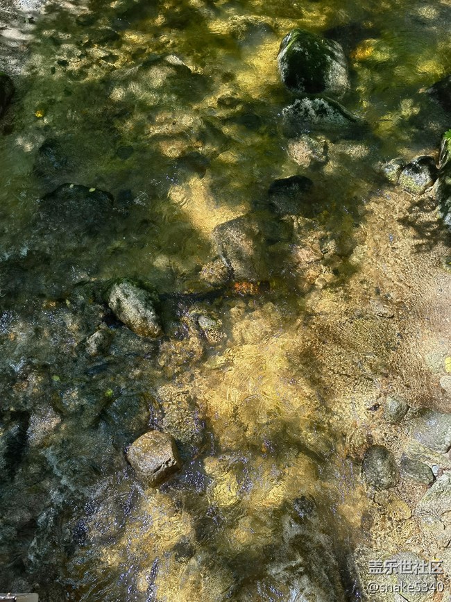 【生命之水】+ 水中藏寶