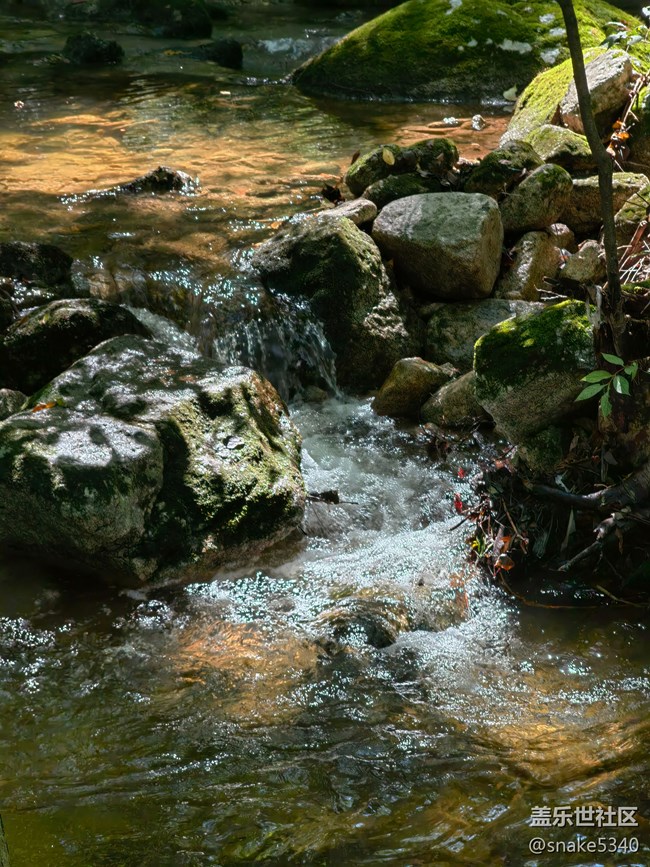 【生命之水】+ 水中藏寶